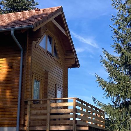Chalet Authentique Au Calme, En Lisiere De Foret, Montagne, Sentiers 15Mn Gerardmer & Alsace "Chalet Mon Beau Sapin" Anould Exteriér fotografie