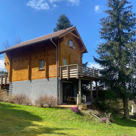 Chalet Authentique Au Calme, En Lisiere De Foret, Montagne, Sentiers 15Mn Gerardmer & Alsace "Chalet Mon Beau Sapin" Anould Exteriér fotografie