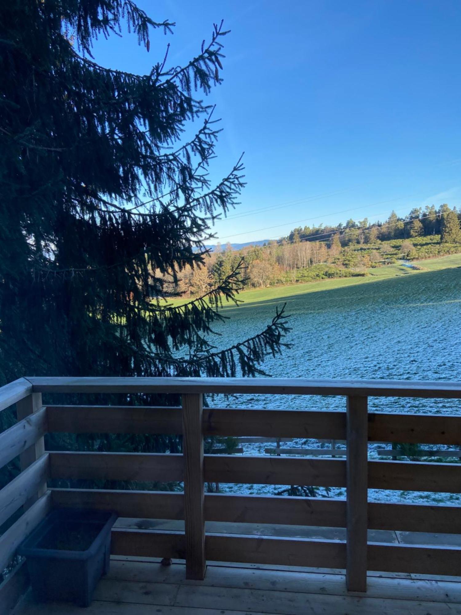 Chalet Authentique Au Calme, En Lisiere De Foret, Montagne, Sentiers 15Mn Gerardmer & Alsace "Chalet Mon Beau Sapin" Anould Exteriér fotografie