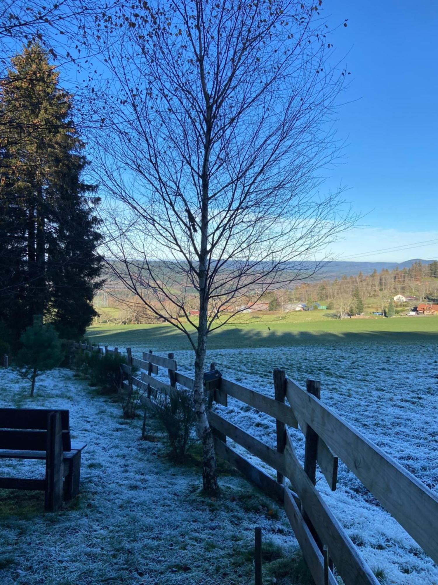 Chalet Authentique Au Calme, En Lisiere De Foret, Montagne, Sentiers 15Mn Gerardmer & Alsace "Chalet Mon Beau Sapin" Anould Exteriér fotografie