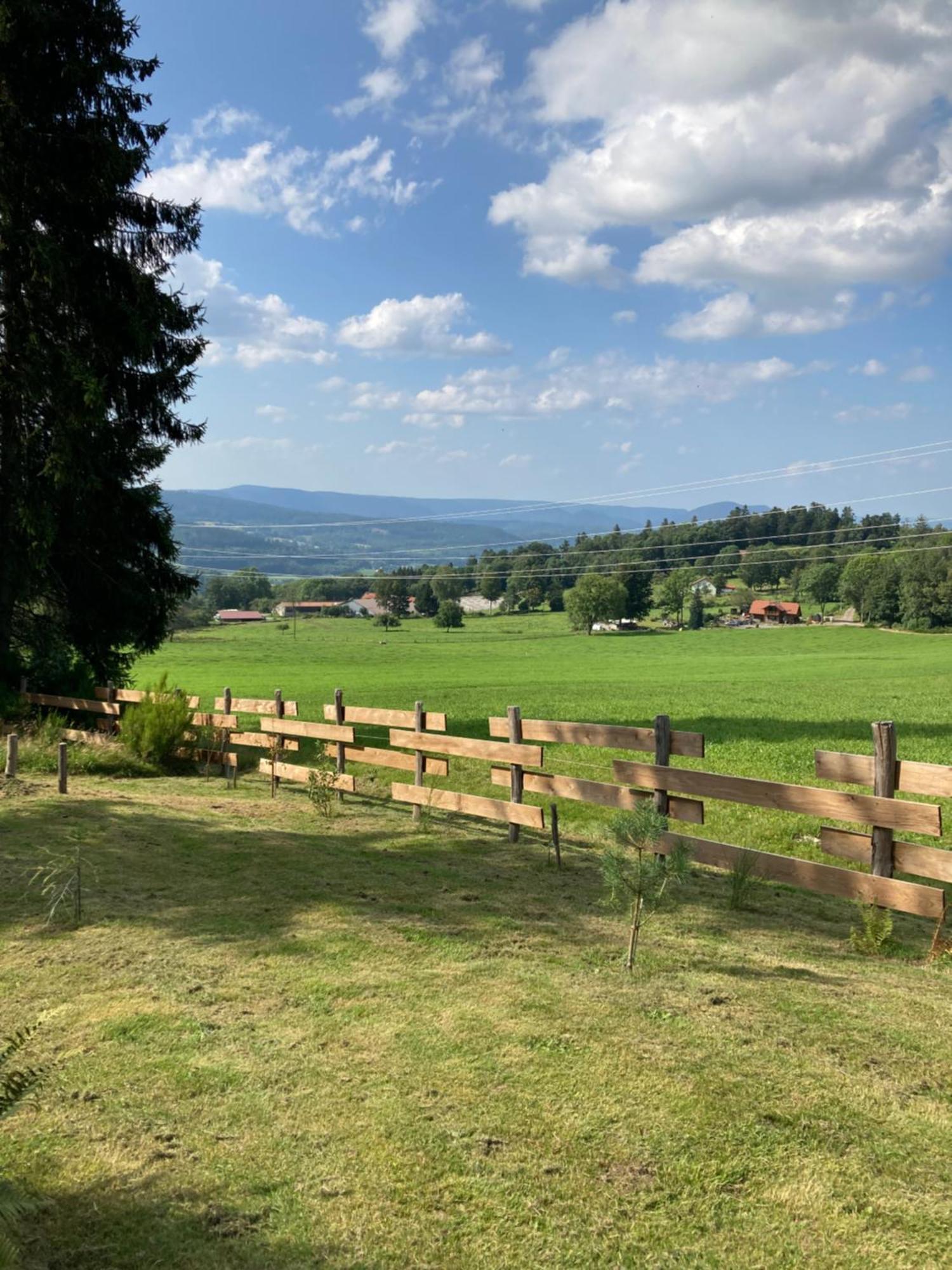 Chalet Authentique Au Calme, En Lisiere De Foret, Montagne, Sentiers 15Mn Gerardmer & Alsace "Chalet Mon Beau Sapin" Anould Exteriér fotografie