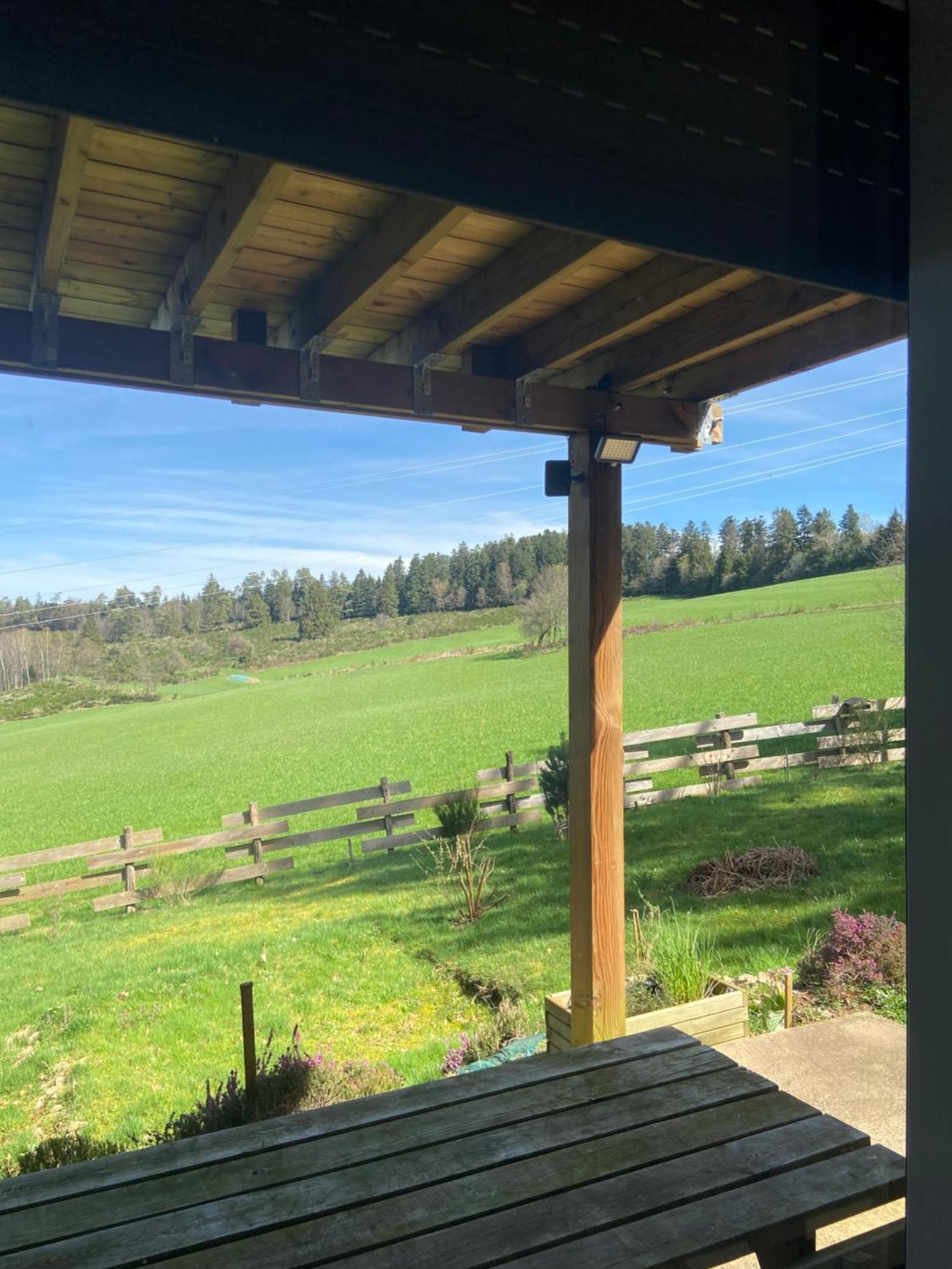 Chalet Authentique Au Calme, En Lisiere De Foret, Montagne, Sentiers 15Mn Gerardmer & Alsace "Chalet Mon Beau Sapin" Anould Exteriér fotografie