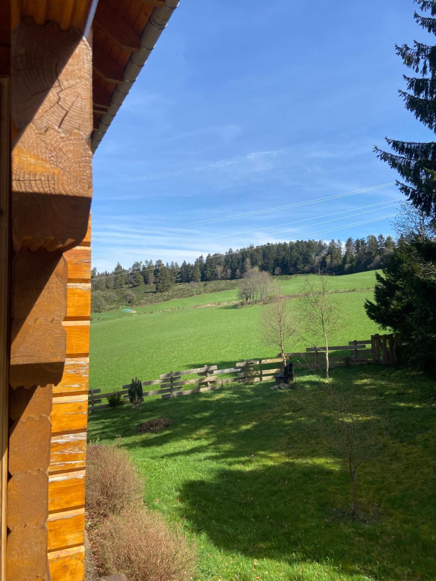 Chalet Authentique Au Calme, En Lisiere De Foret, Montagne, Sentiers 15Mn Gerardmer & Alsace "Chalet Mon Beau Sapin" Anould Exteriér fotografie