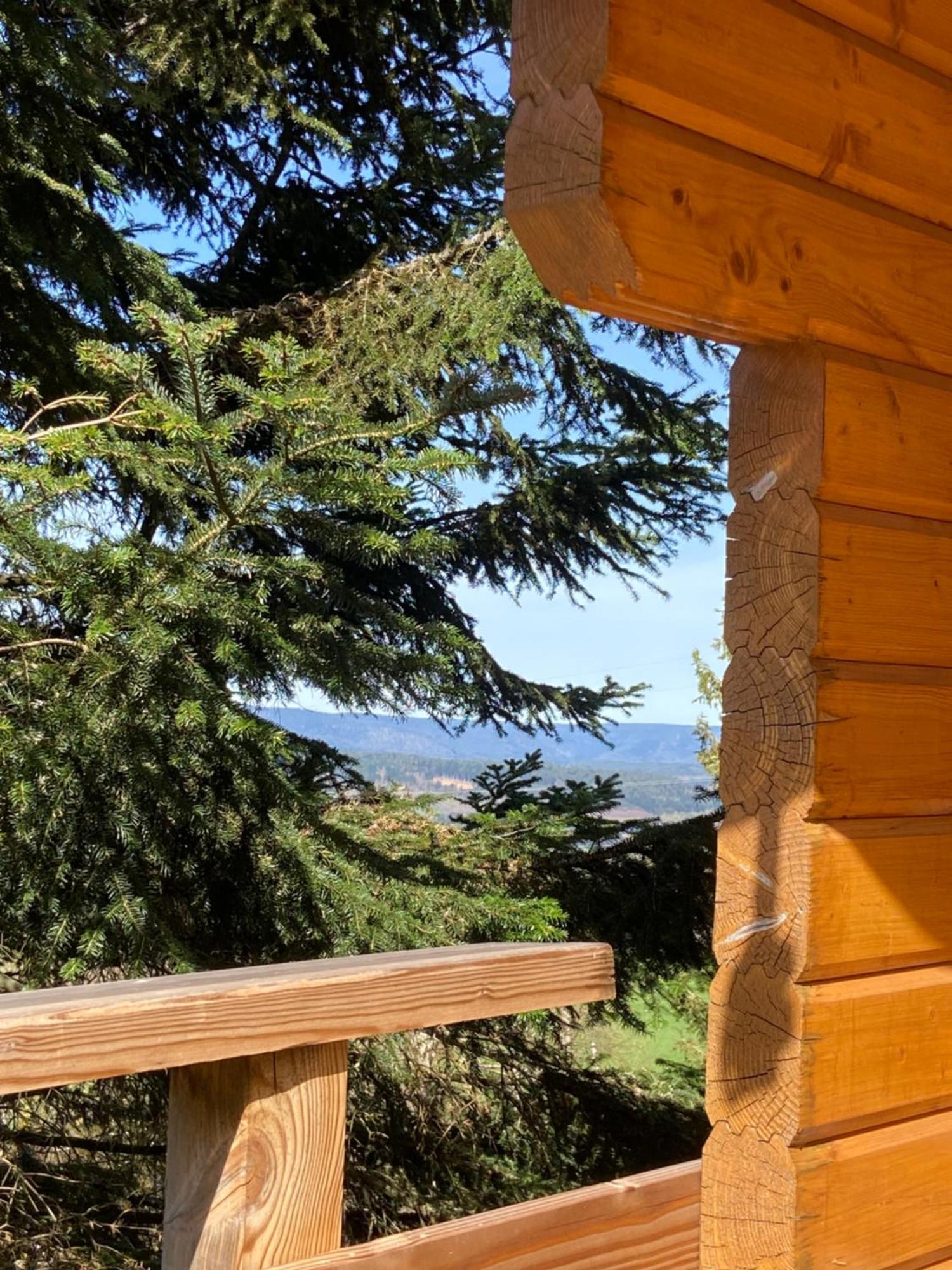 Chalet Authentique Au Calme, En Lisiere De Foret, Montagne, Sentiers 15Mn Gerardmer & Alsace "Chalet Mon Beau Sapin" Anould Exteriér fotografie