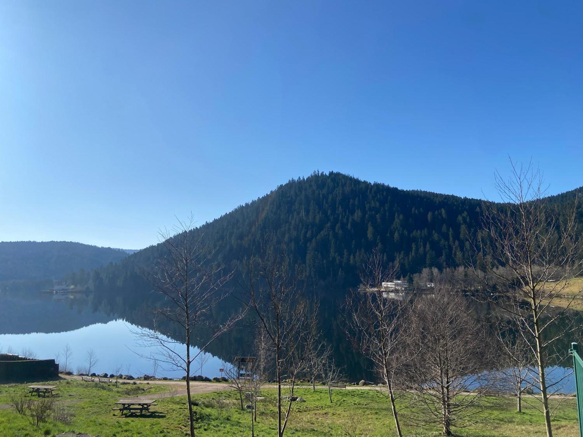 Chalet Authentique Au Calme, En Lisiere De Foret, Montagne, Sentiers 15Mn Gerardmer & Alsace "Chalet Mon Beau Sapin" Anould Exteriér fotografie