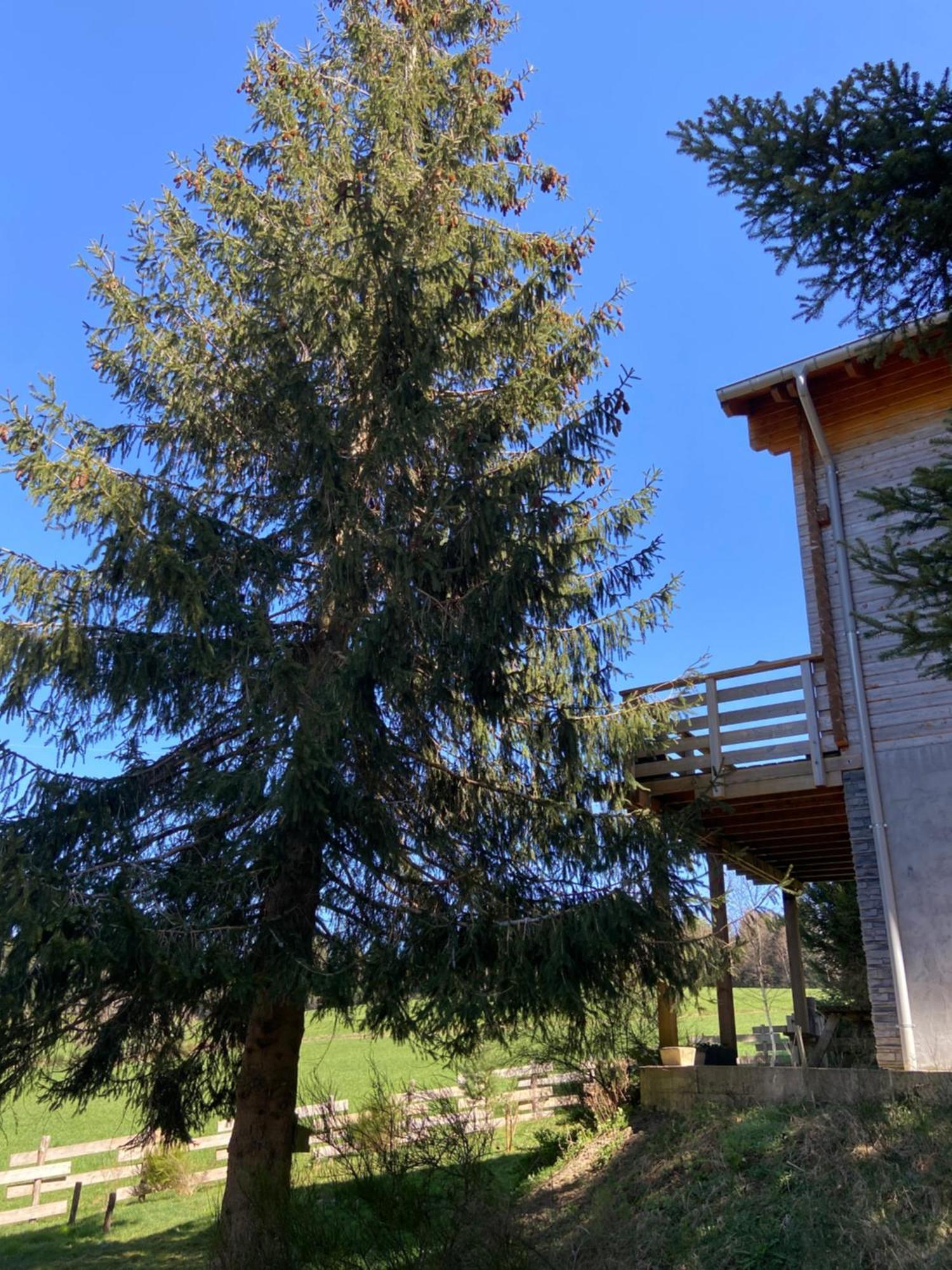 Chalet Authentique Au Calme, En Lisiere De Foret, Montagne, Sentiers 15Mn Gerardmer & Alsace "Chalet Mon Beau Sapin" Anould Exteriér fotografie