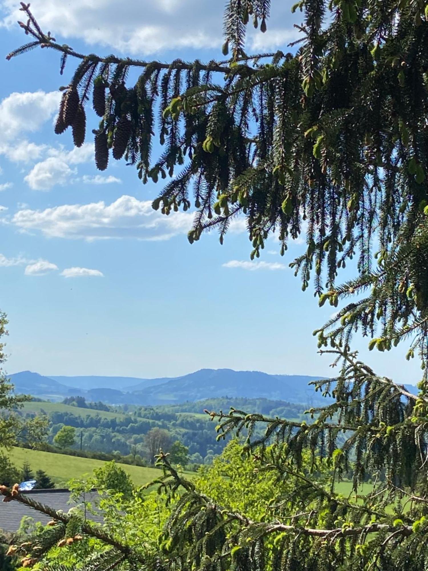 Chalet Authentique Au Calme, En Lisiere De Foret, Montagne, Sentiers 15Mn Gerardmer & Alsace "Chalet Mon Beau Sapin" Anould Exteriér fotografie